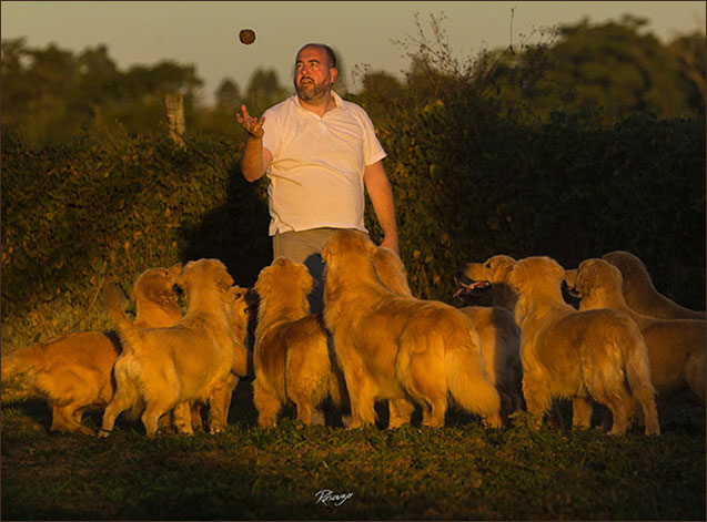 Benntos Goldens: Quem Somos